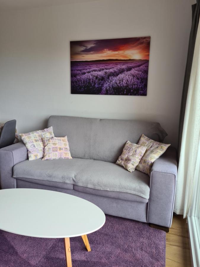 Apartman Luka Новиград Екстериор снимка